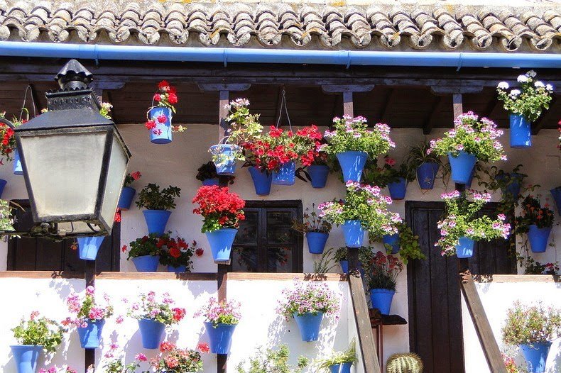 The most floral courtyard in Cordoba