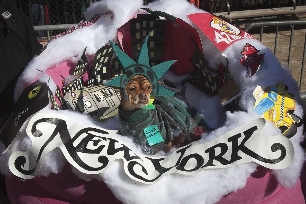 24th Halloween parade of dogs in New York