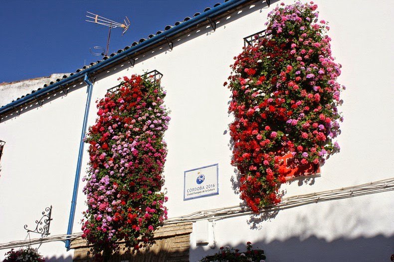 The most floral courtyard in Cordoba