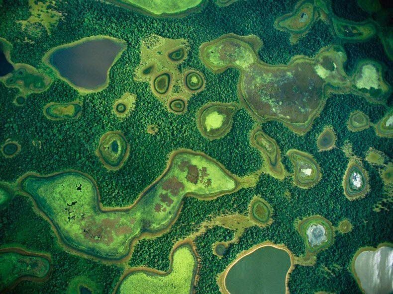 The Pantanal is the world's largest fresh wetland