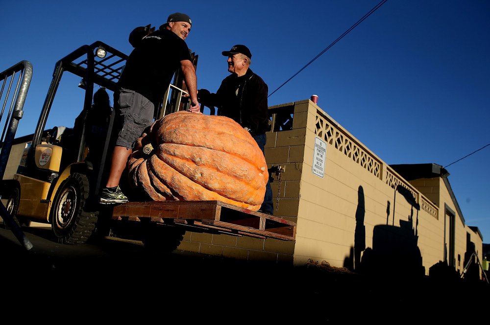 New Pumpkin Record of North America