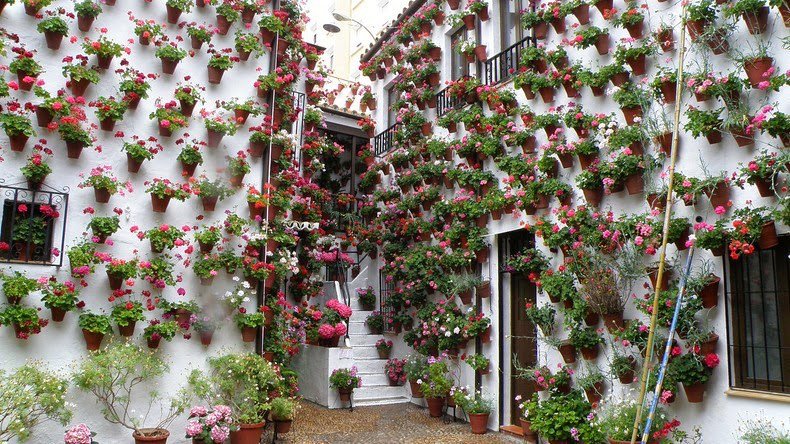 The most floral courtyard in Cordoba
