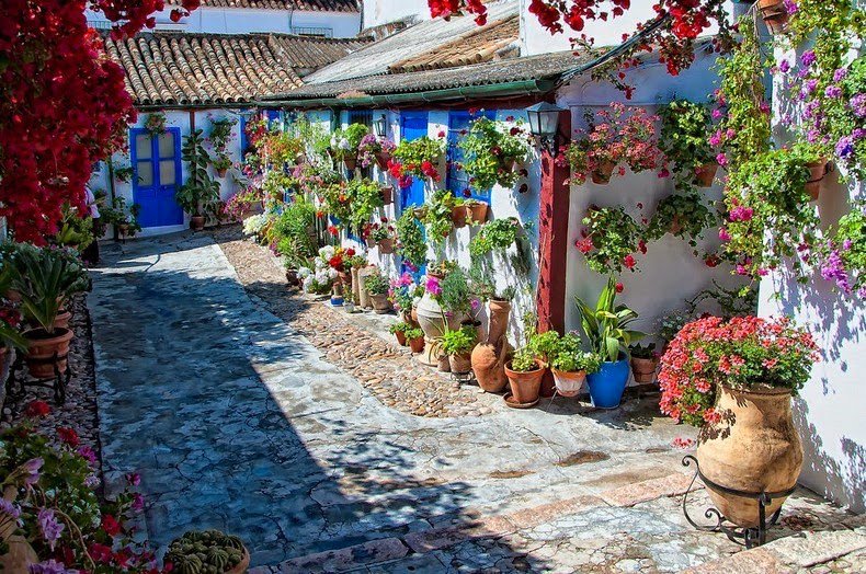 The most floral courtyard in Cordoba