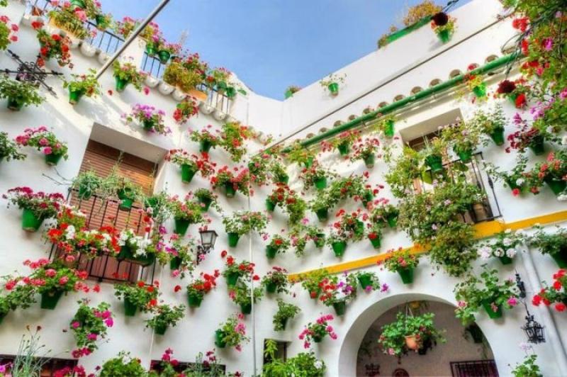 The most flower courtyard in Cordoba