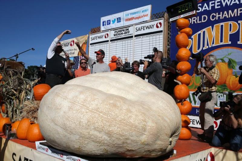 New pumpkin record of North America