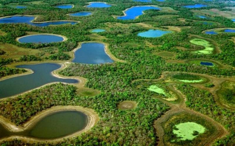 Pantanal - the world's largest fresh wetlands.