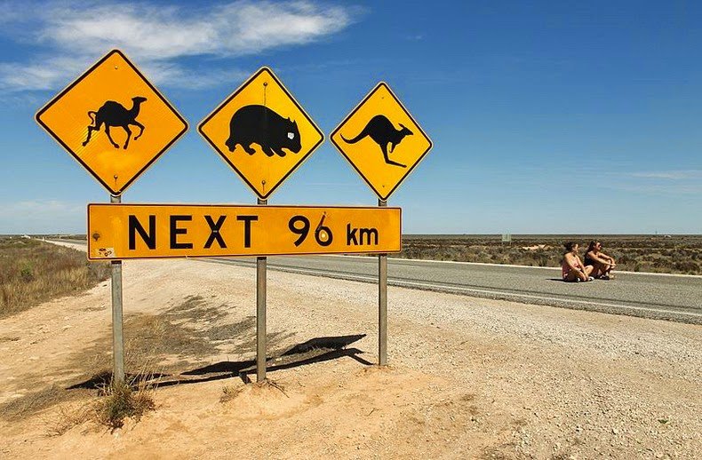 The longest straight section of the road in the world