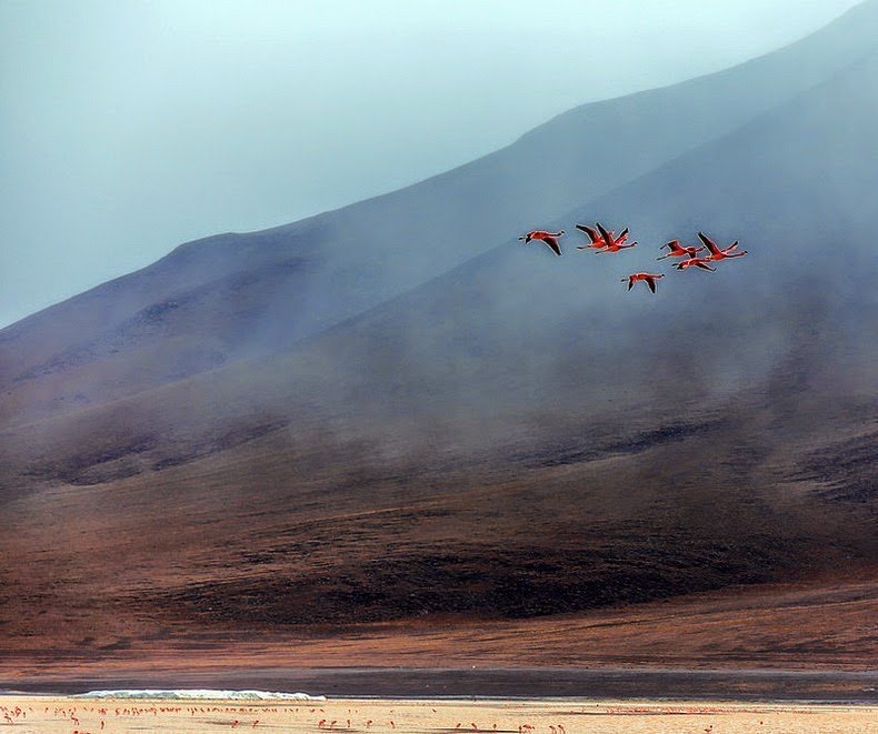 Red Lagoon in Bolivia