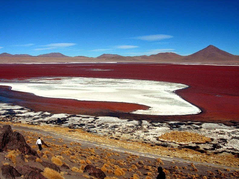 Red Lagoon in Bolivia