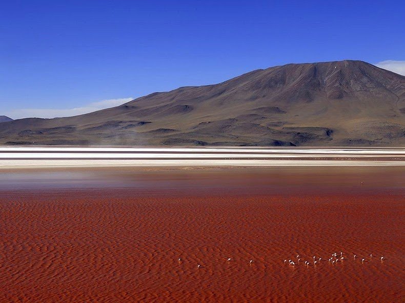 Red Lagoon in Bolivia