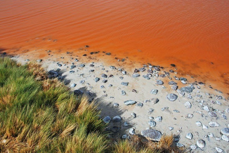 Red Lagoon in Bolivia