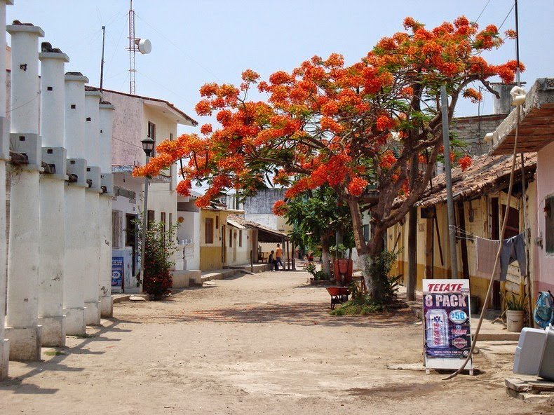 Mescaltitan - Mexican Venice