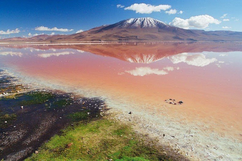 Red Lagoon in Bolivia