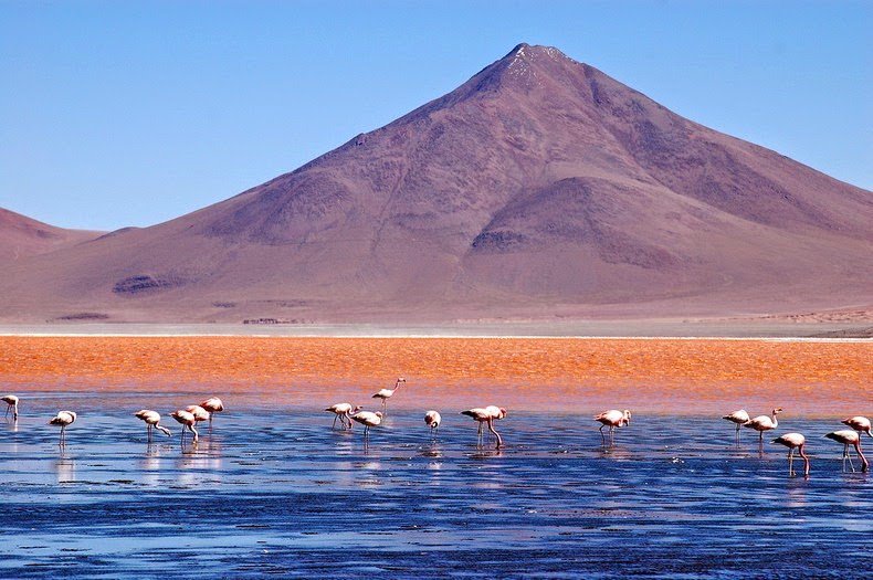 Red Lagoon in Bolivia