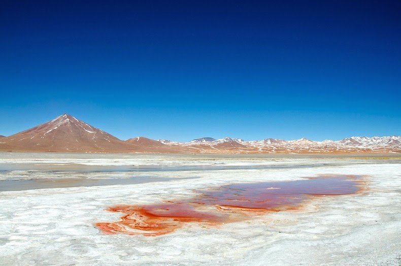 Красная лагуна в Боливии