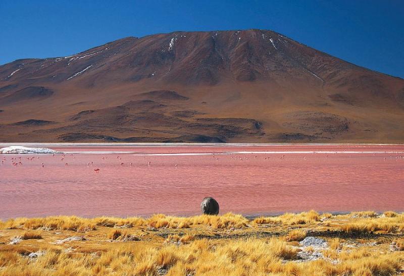 The Red Lagoon in Bolivia