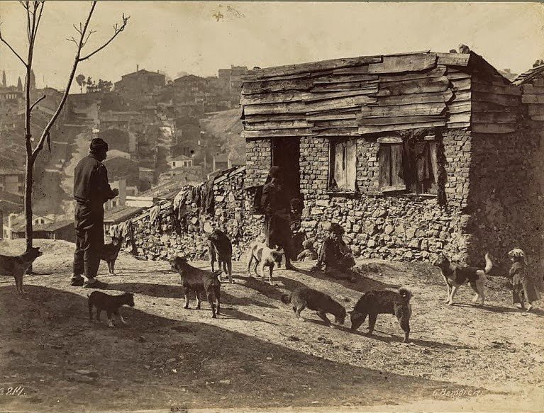 Journey through Istanbul of the XIX century