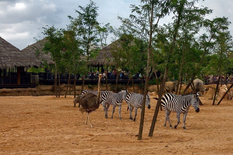 A unique zoo with the full immersion effect