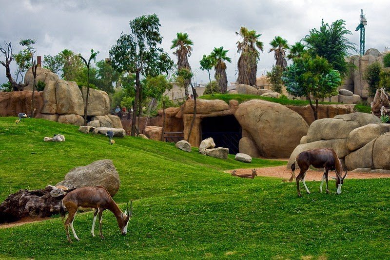 Уникальный зоопарк с эффектом полного погружения