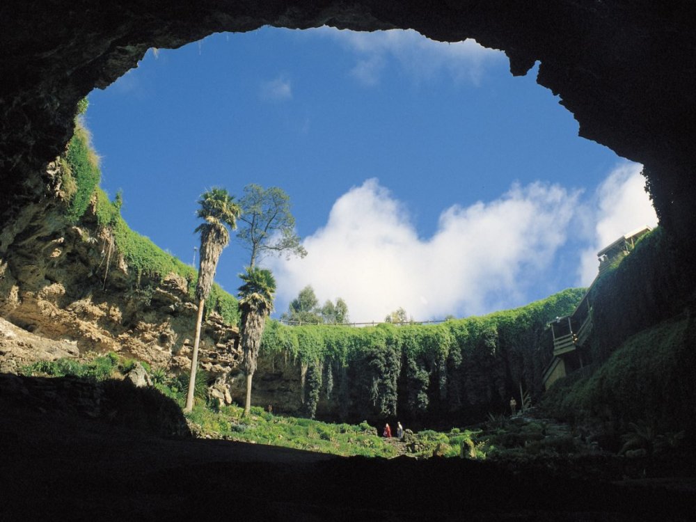 Funnels of tepui Sarisarinhyama