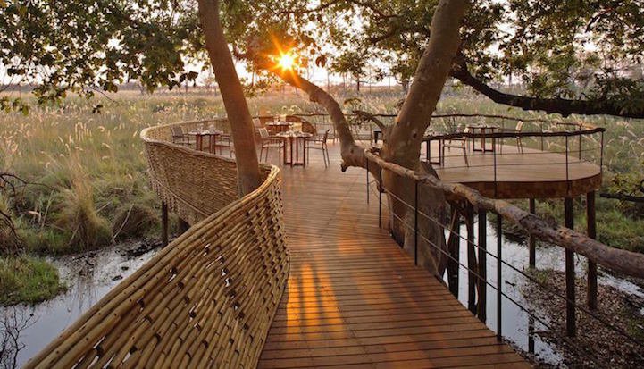 Sandibe Okavango Safari Lodge - идеальное место для побега в дикую природу