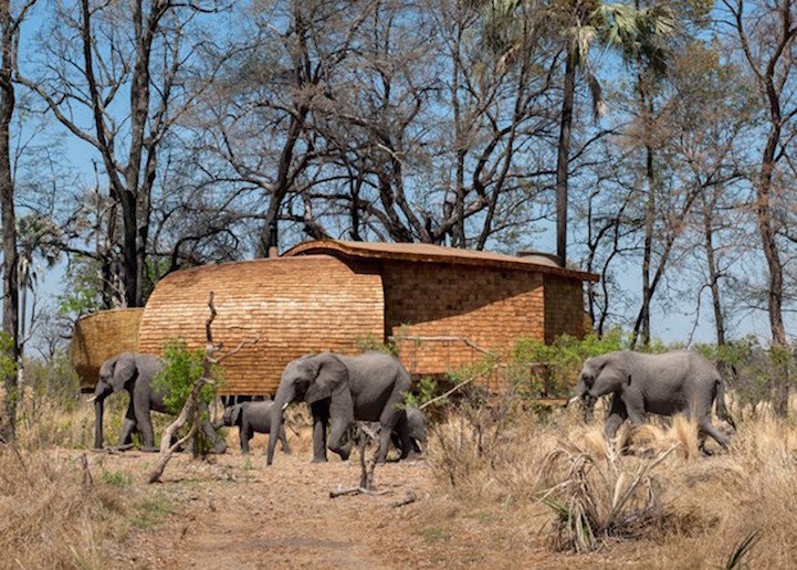 Sandibe Okavango Safari Lodge - идеальное место для побега в дикую природу