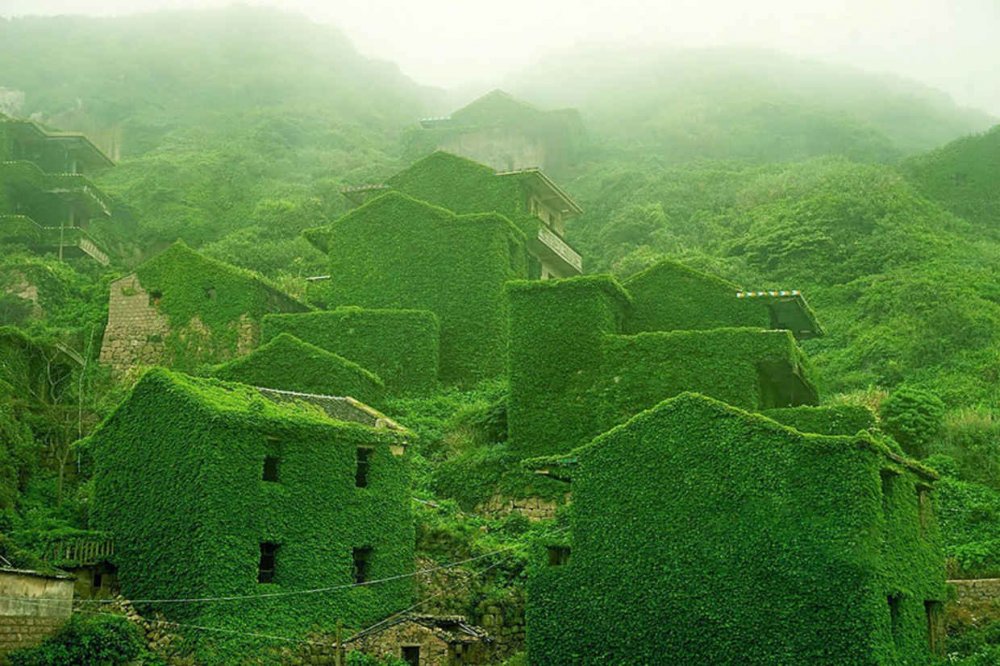 Abandoned village, absorbed by nature