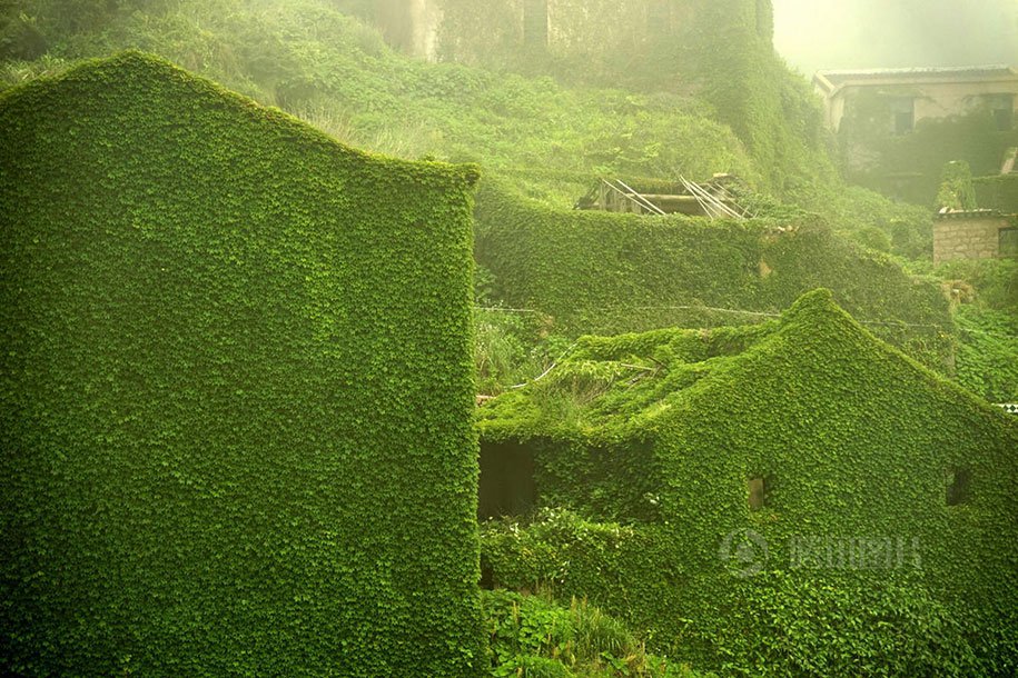 Abandoned village, absorbed by nature