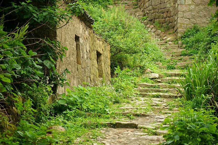 Abandoned village, absorbed by nature