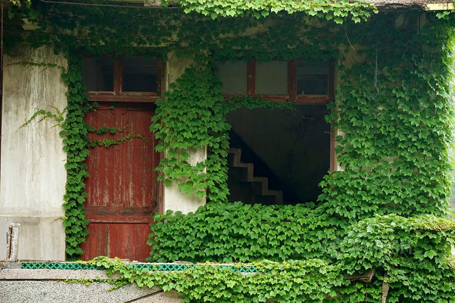 Abandoned village, absorbed by nature