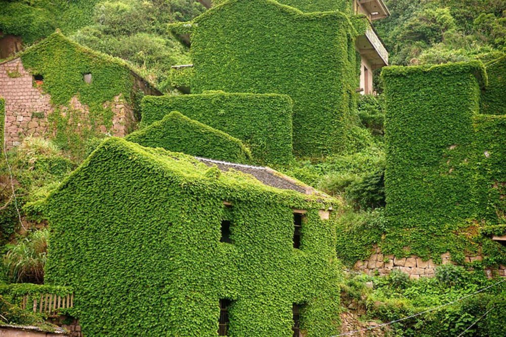 Abandoned village, absorbed by nature