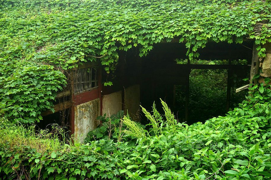 Abandoned village, absorbed by nature