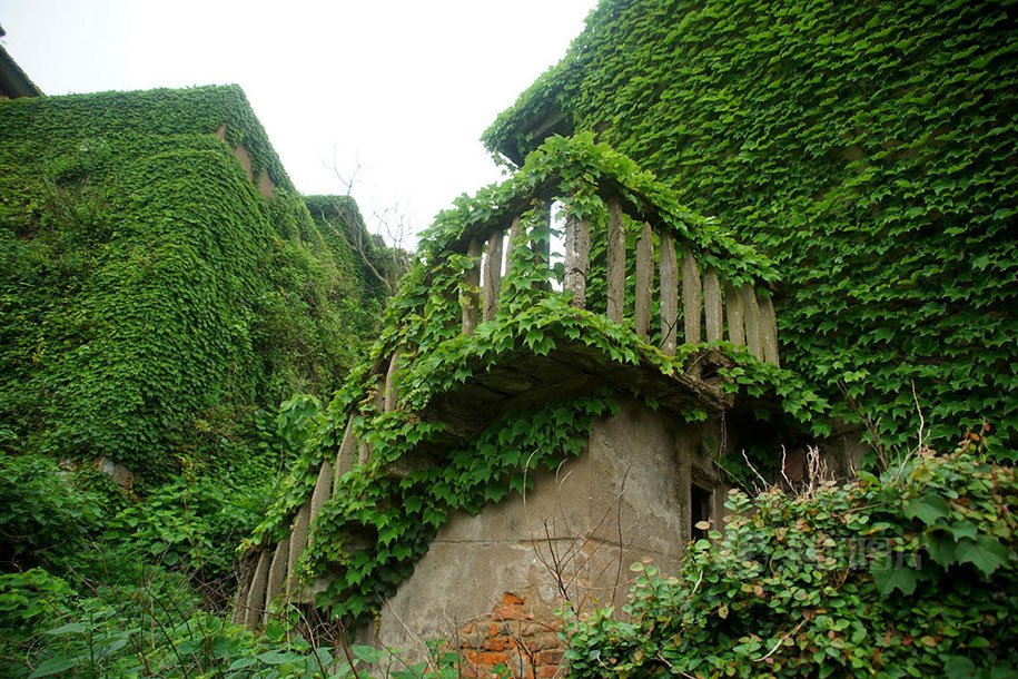 Abandoned village absorbed by nature
