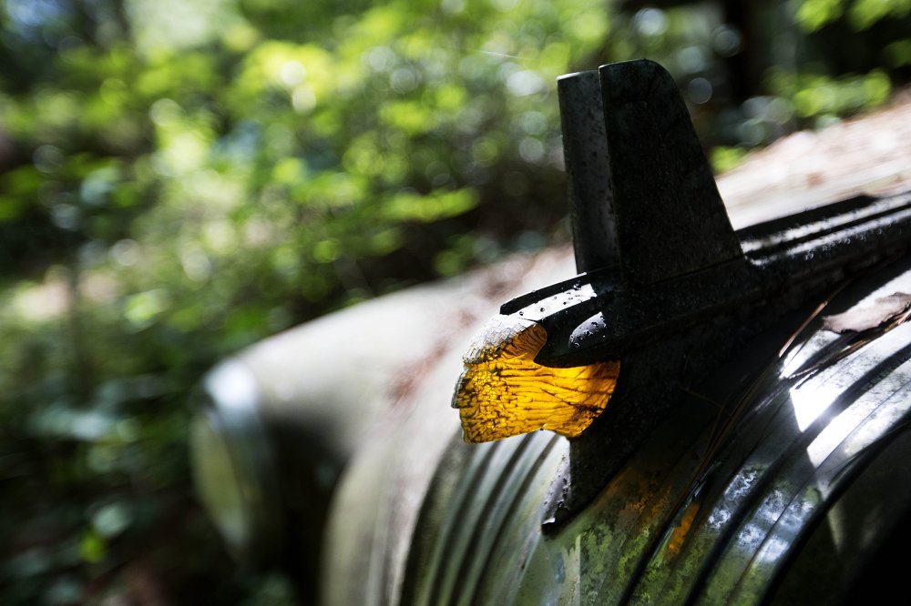 Old Car City - the largest cemetery of classic cars in the world