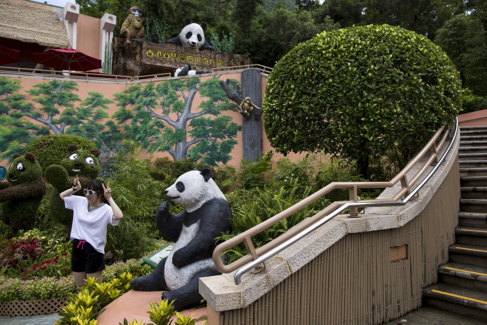 Jia Jia is the oldest big panda in the world