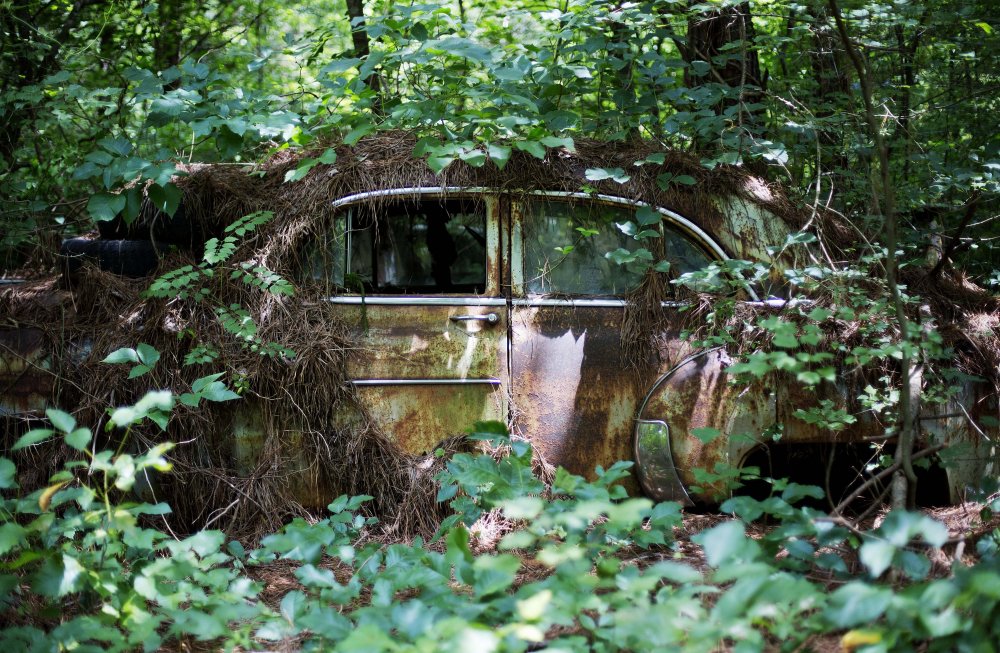 Old Car City - самое большое кладбище классических автомобилей в мире