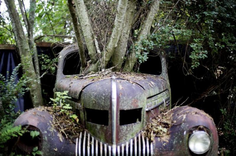 Old Car City - the largest cemetery of classic cars in the world.