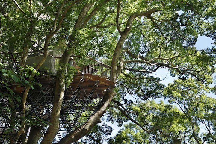 The biggest house in the tree in Japan