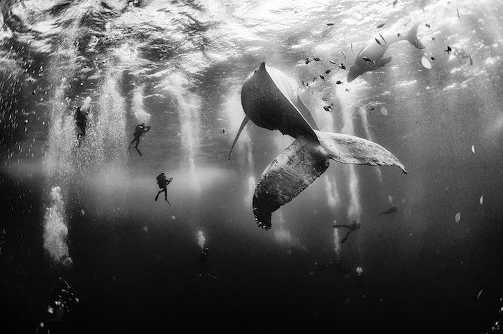 All winners of the National Geographic Traveler 2015 photo contest