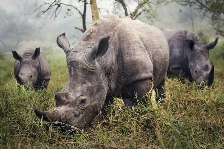 Всі переможці фотоконкурсу National Geographic Traveler 2015» border=