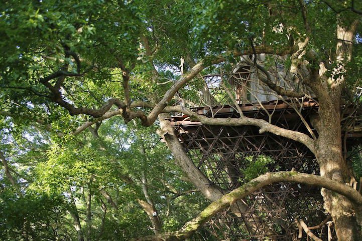 The biggest house in the tree in Japan