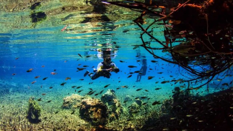 40 places with the cleanest water on the planet (40 photos)