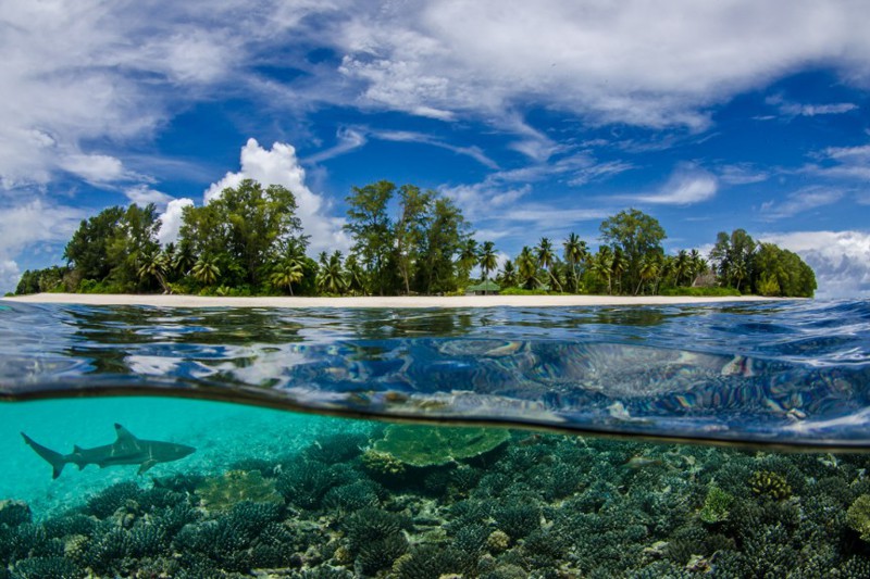 40 places with the cleanest water on the planet (40 photos)