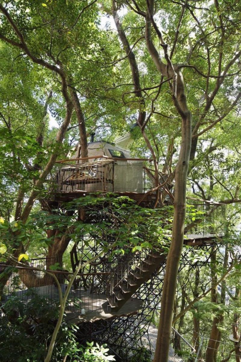 The biggest tree house in Japan