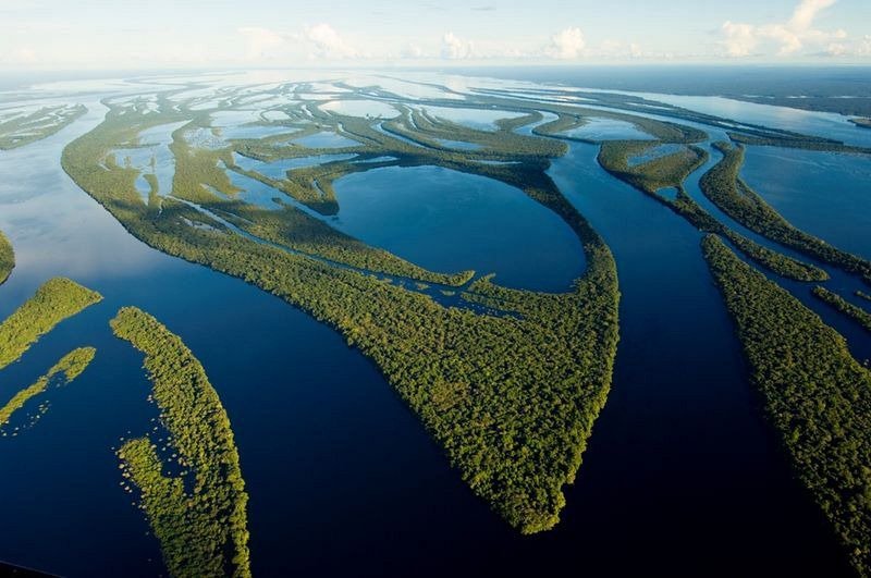 Anaviljanas Archipelago is a unique place in the delta of the Rio Negro