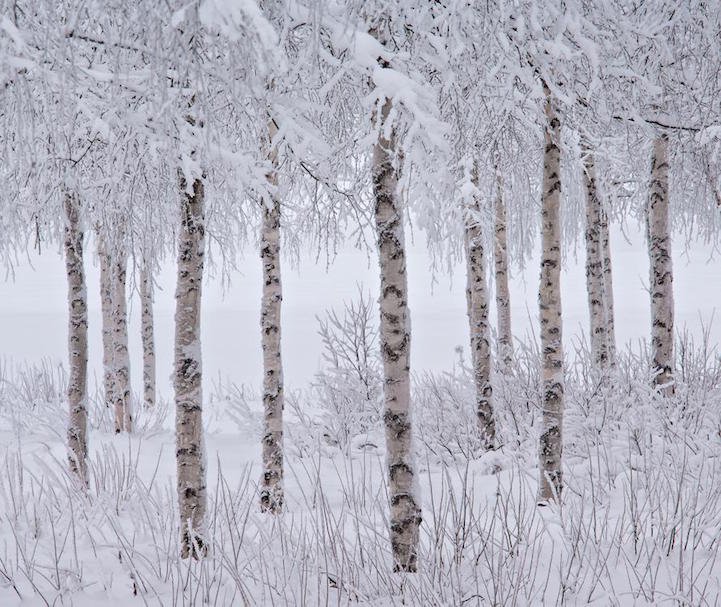 The best photos of the photo competition International Landscape Photographer of the Year 2015