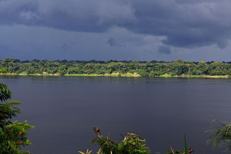 Anaviljanas Archipelago - a unique place in the delta of the Rio Negro