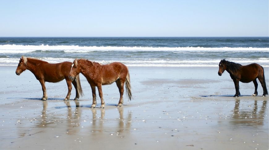 10 unknown beaches in America