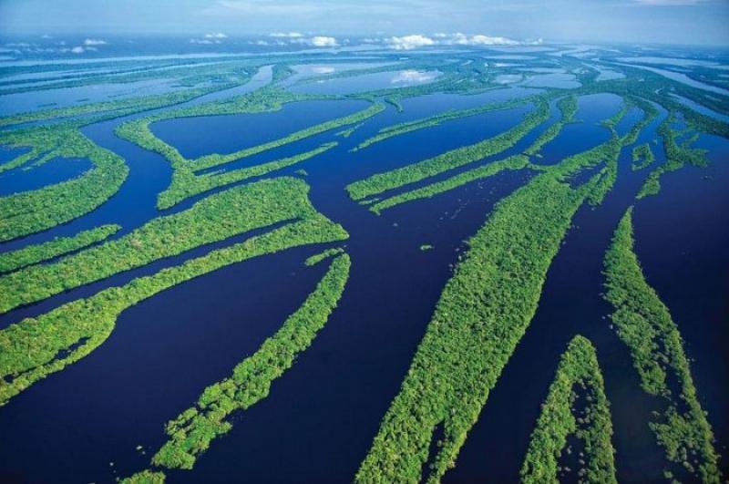 The Anaviljanas Archipelago is a unique place in the delta of the Negro River.