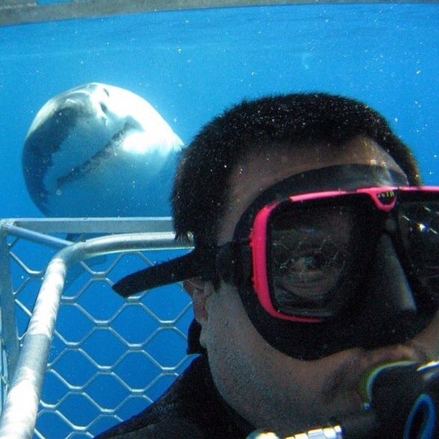 30 selfies, which are filled with adrenaline. Already captures the spirit!